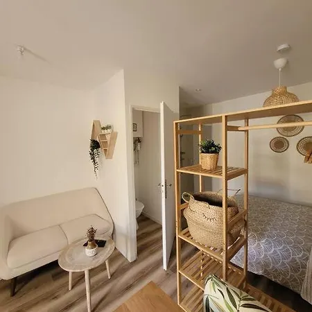 Cosy Proche Centre 公寓 *